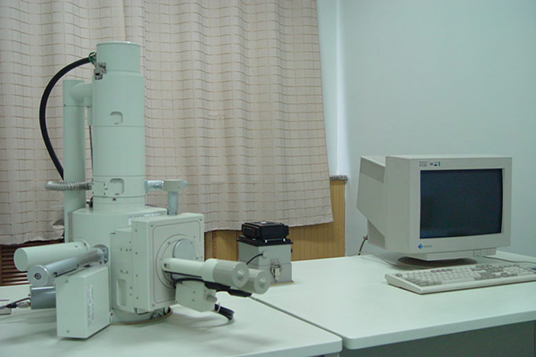 日本掃描電鏡